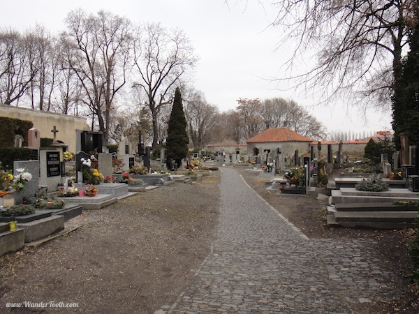 The graveyard at the Sedlec bone church