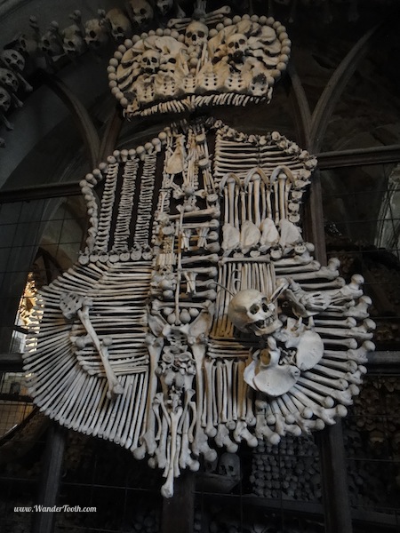 A coat of arms made from human bones in the bone church