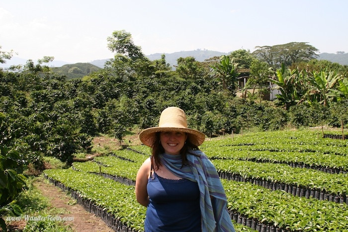 "A Visit to a coffee farm near the Colombian coffee region capital of Manizales"