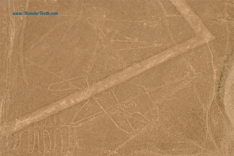 The Nazca Lines