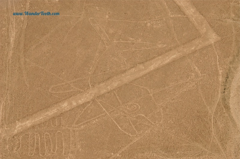 The Nazca Lines