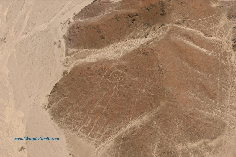 The Nazca Lines