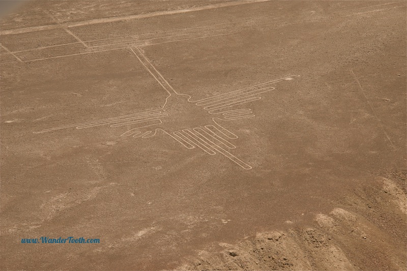 Nazca Lines