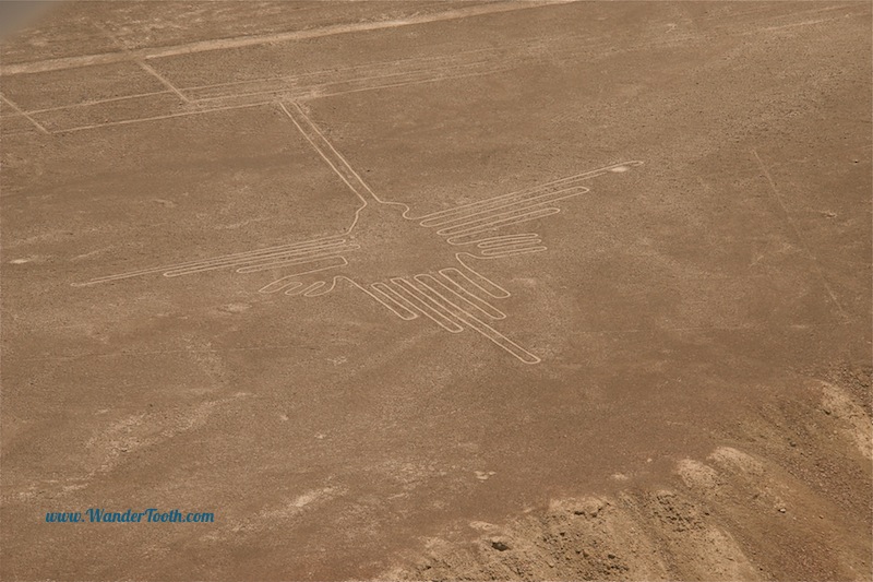 Nazca Lines