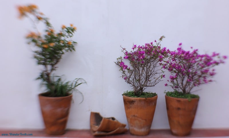 A wall near Puerto Vallarta's harbour