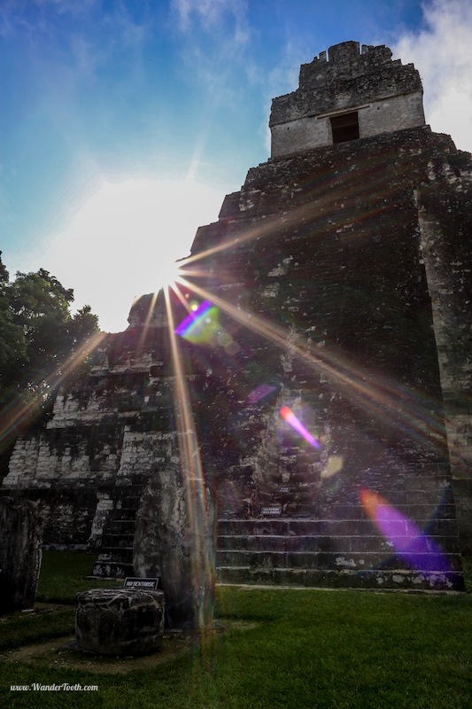 Tikal; shortly after sunrise, as the jungle wakes up