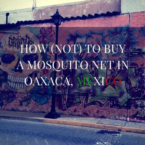 mosquito net oaxaca where to buy