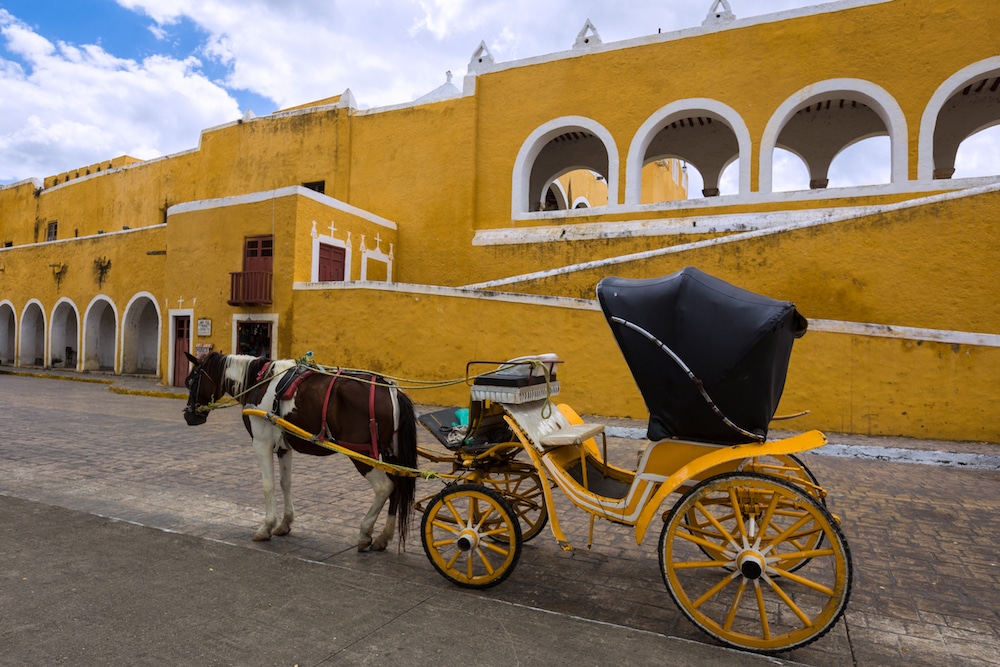 horse-and-buggy-mexico-coloring-book