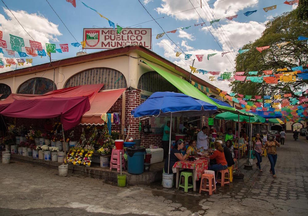 Mexico Adult Coloring Book San Cristobal Market