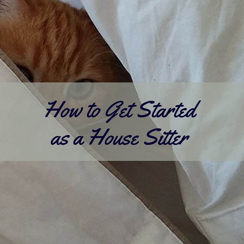how to become a housesitter