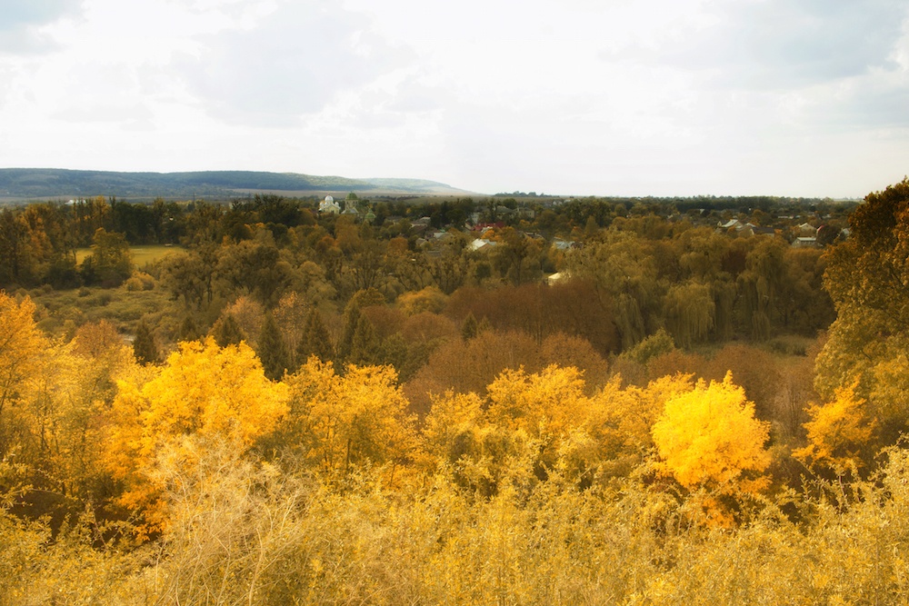 Olesko Castle Ukraine View