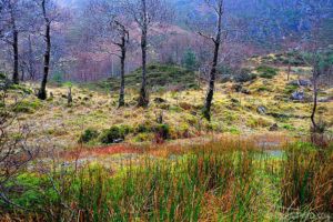 The Scottish Highlands are some of the best places to visit in Scotland