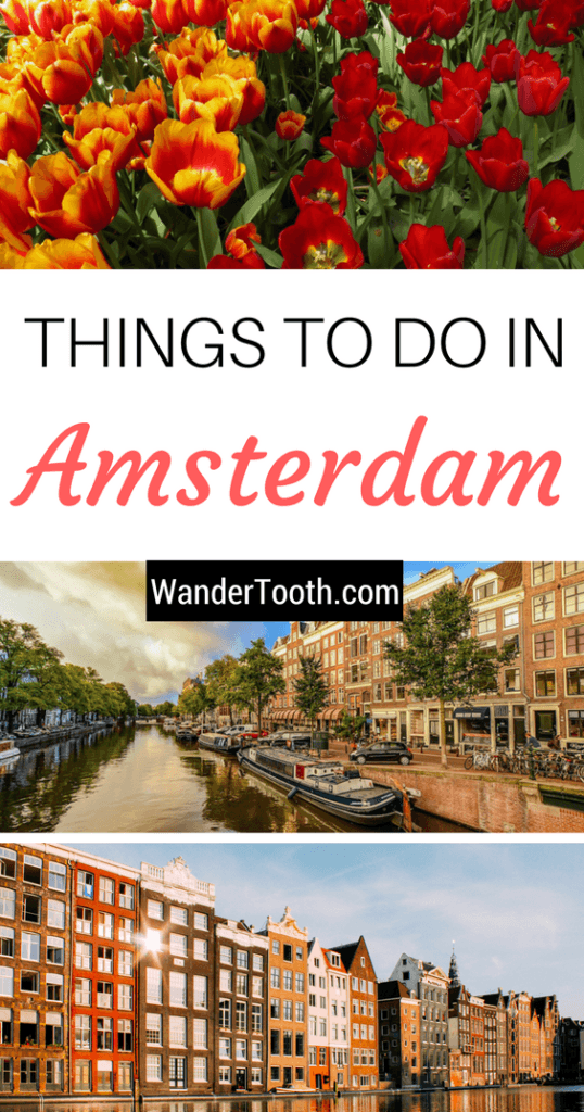 Things to do in Amsterdam Tips