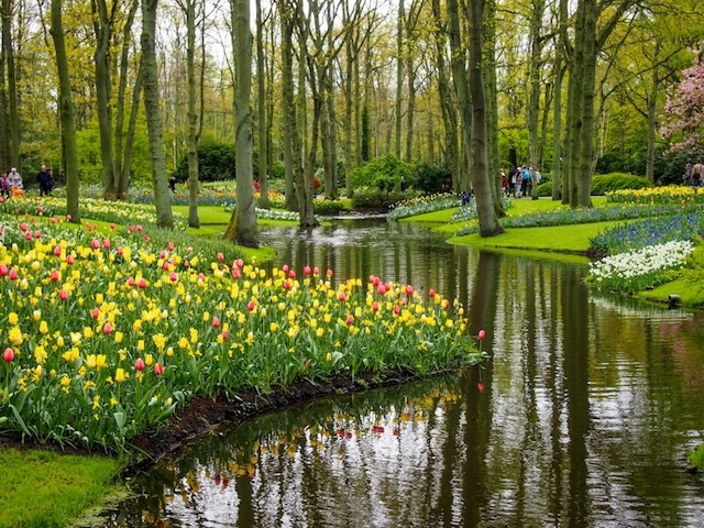 Keukenhof Gardens Best Places to Visit in Netherlands