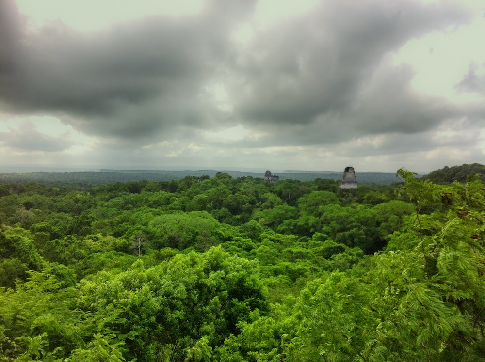 A view of the jungle in Tikal, Guatemala