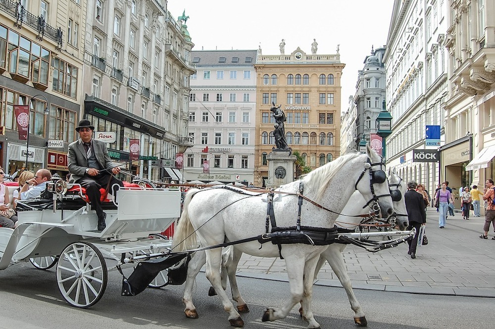 horse drawn carriage in vienna