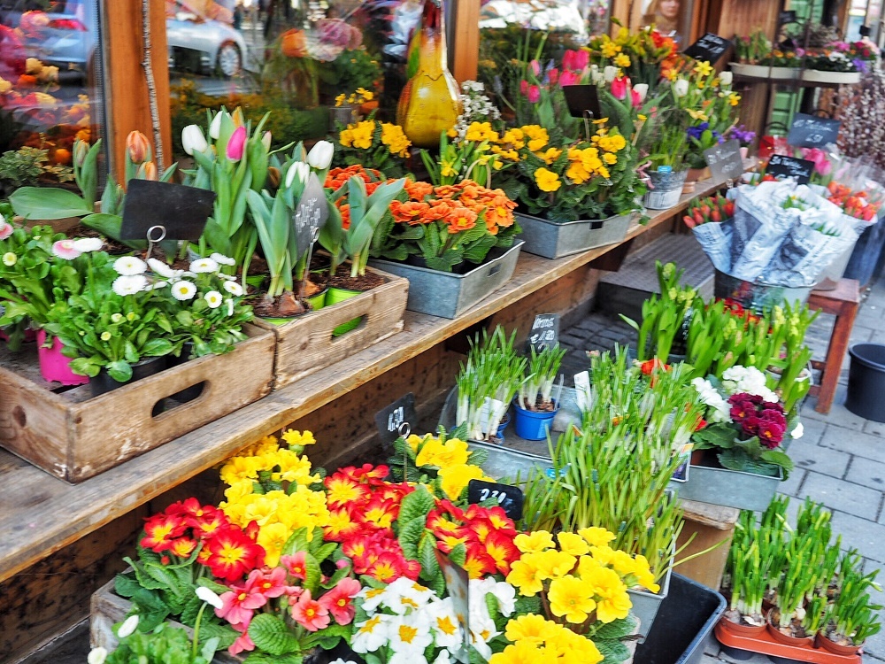 Market in the Altstadt neighborhood in Munich - Where to stay in Munich guide