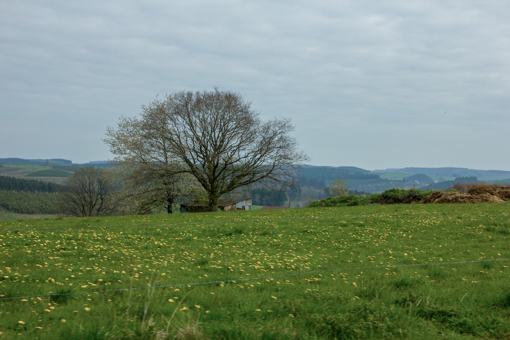 Sainlez Belgium Countryside