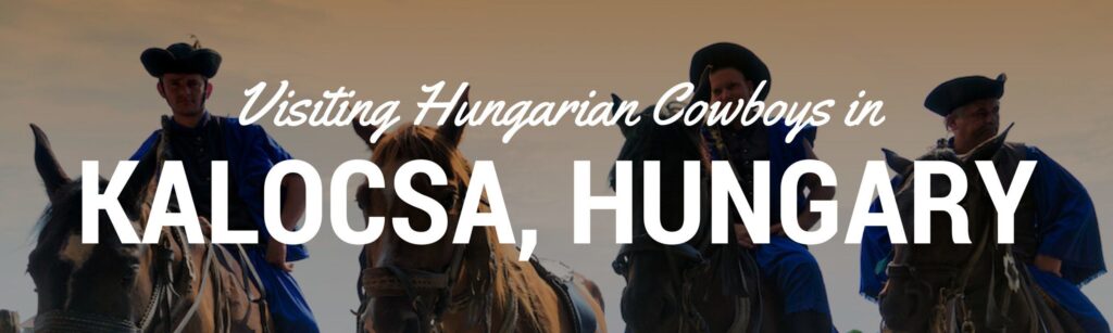 Hungarian Horse Show Kalosca Header