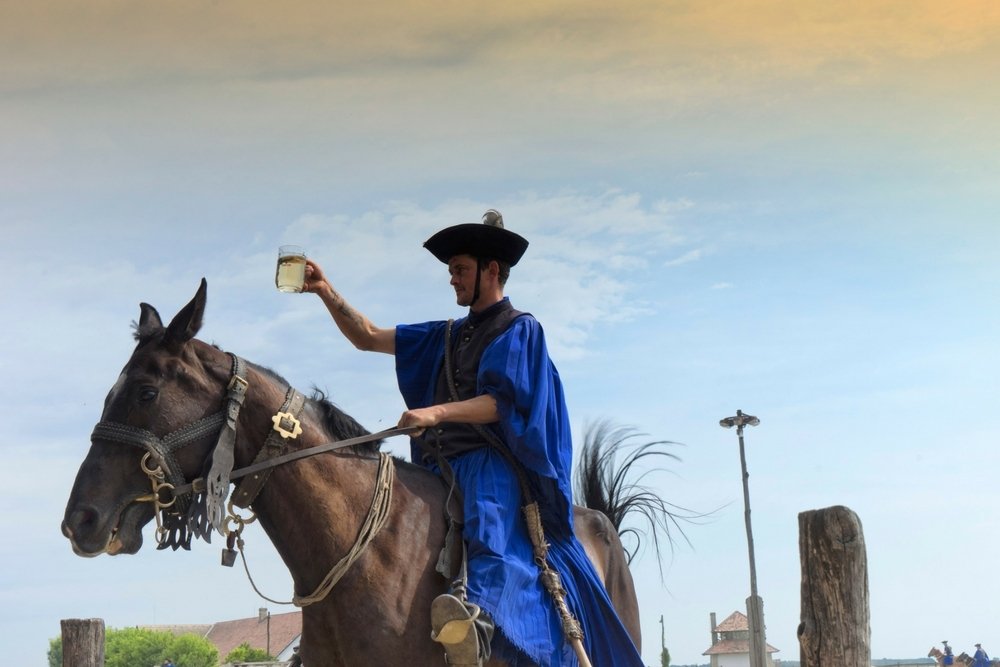 Hungarian Cowboy at a Hungarian Horse Show Kalocsa