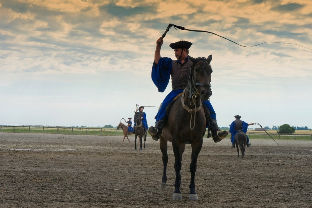 Hungarian Cowboy with Whip at a Hungarian Horse Show Kalocsa