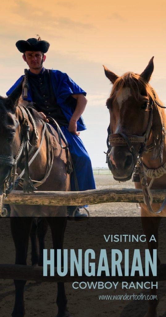 Pinterest Graphic About Hungarian Horse Show in Kalocsa Hungary