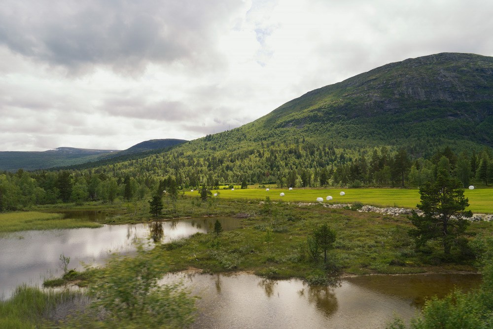 Dovre Rail Scenery Norway by Train