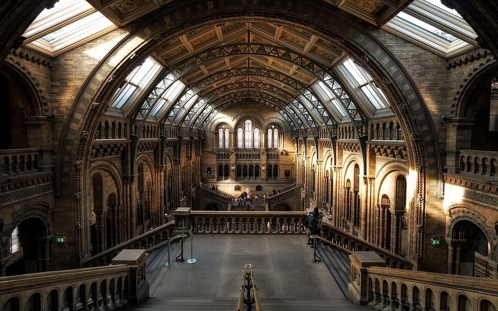 Make sure you visit the London Natural History Museum when you visit London