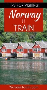 Norway by Train Pinterest Pin