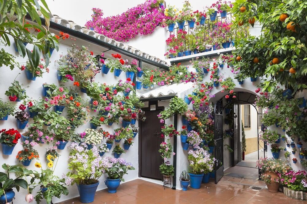 Cordoba Spain Flowers on the patio