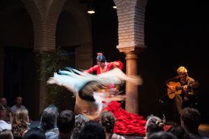 Seville Flamenco Show