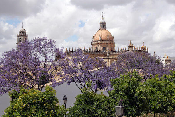 Jerez de la Fronterra Where to Go in Spain