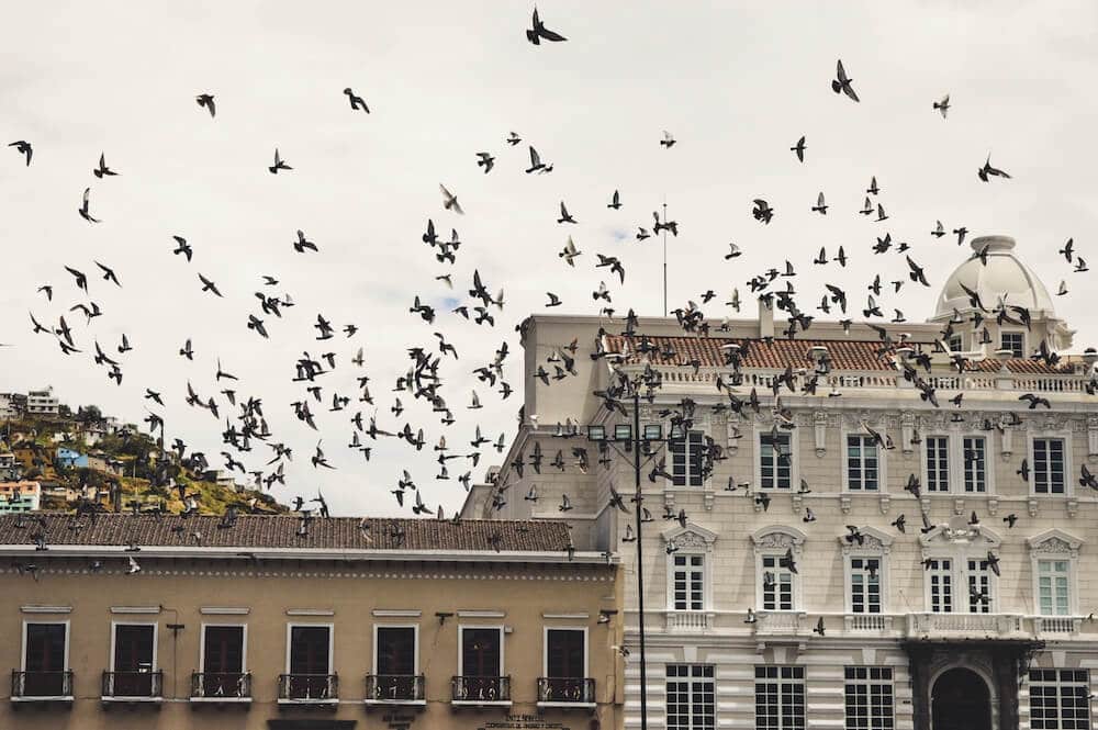 Quito Ecuador travel is popular because of the beautiful old colonial buildings in Old town