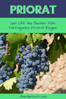 Tarragona and the Priorat Region