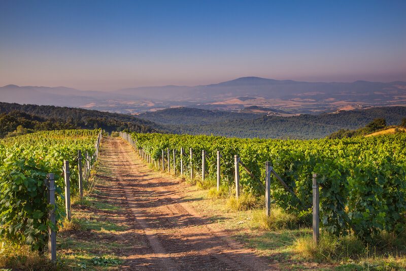 Chianti day trip from Florence Italy