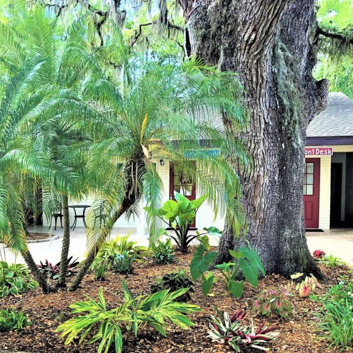 Image for ★★★ Retreat at Crystal Manatee, Crystal River, USA
