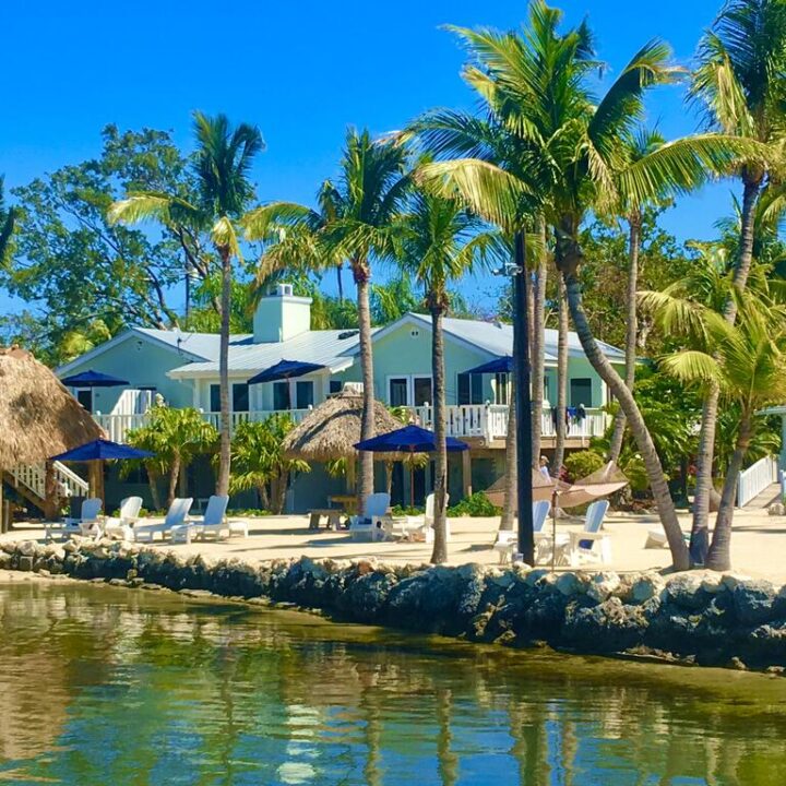 Image for Coconut Palm Inn