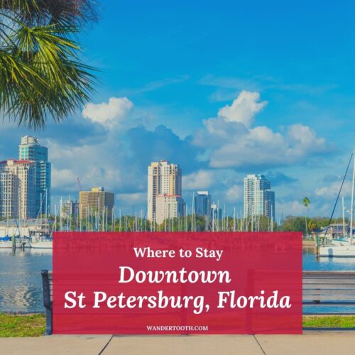 Downtown St Petersburg