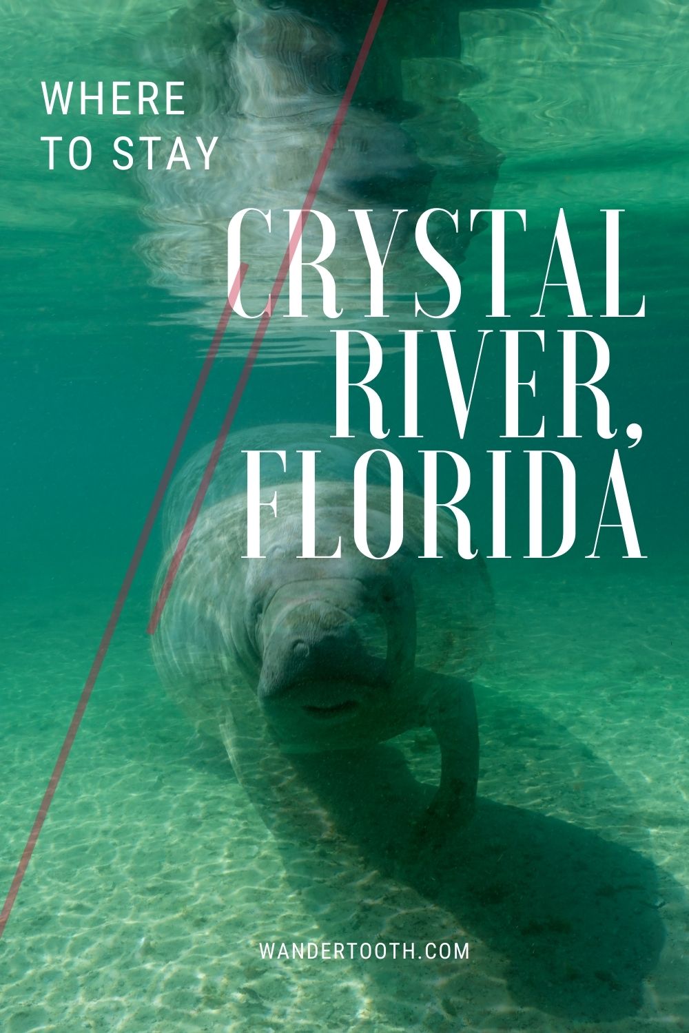 Where to Stay in Crystal River, Florida - Wandertooth Travel