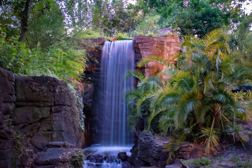 Waterfall in Disney's Animal Kingdom