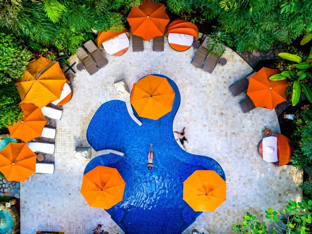 top view of pool at Nayara Gardens resort