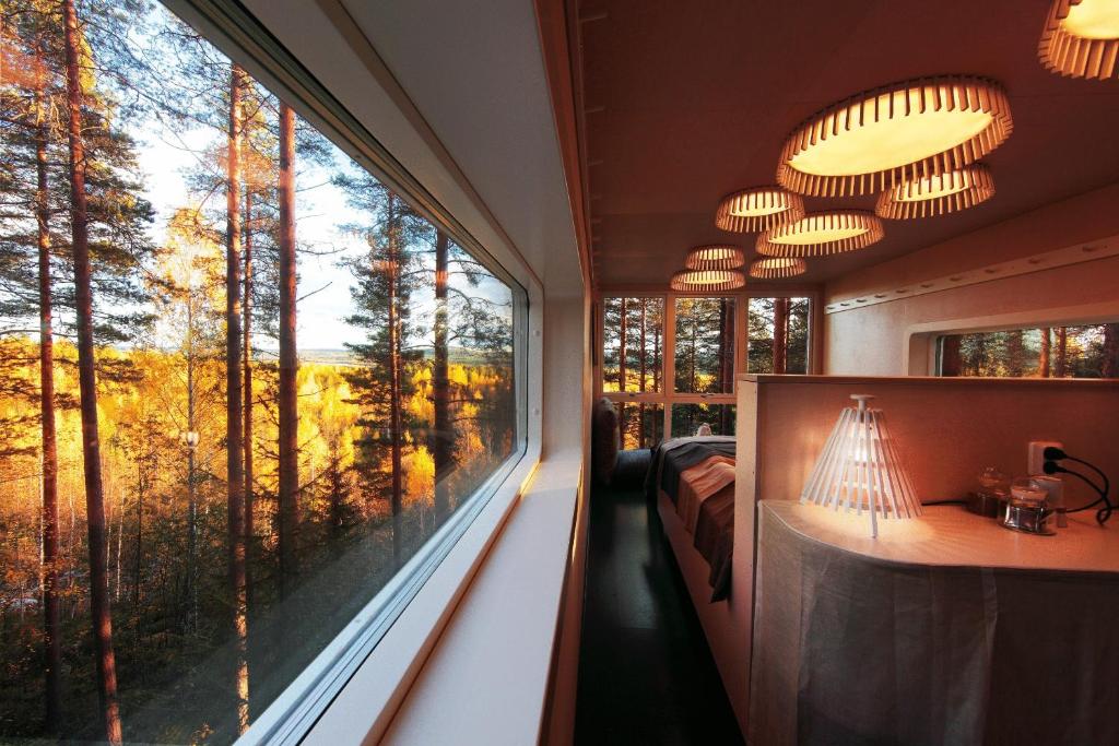 inside view of one of the tree hotels looking out the window