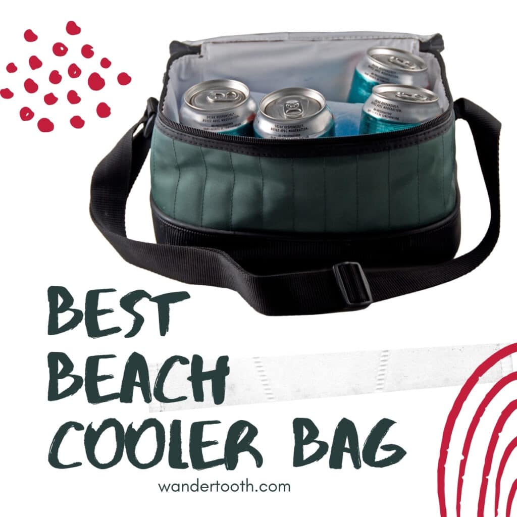 Venture Collapsible Cooler Bag | Ariel Promo Gifts