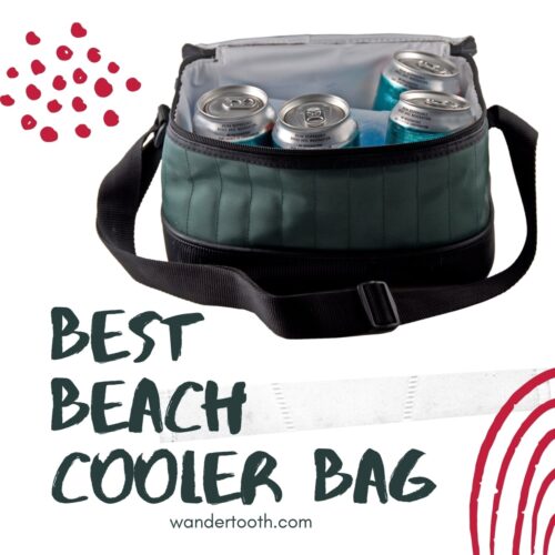 Beach cooler bag on sale