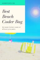 best beach cooler bag