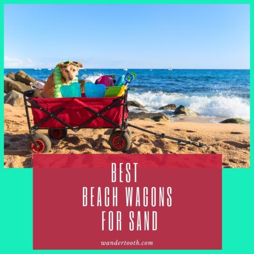 best beach cart for sand