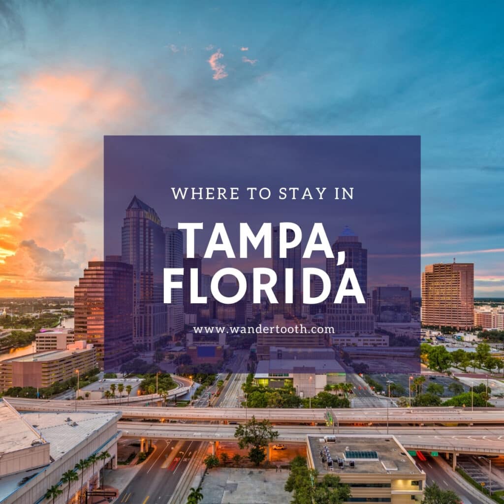 Where to Stay in Tampa, Florida Wandertooth Travel