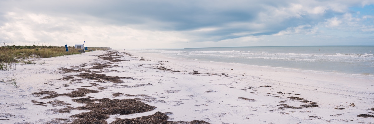 beach on caladesi island