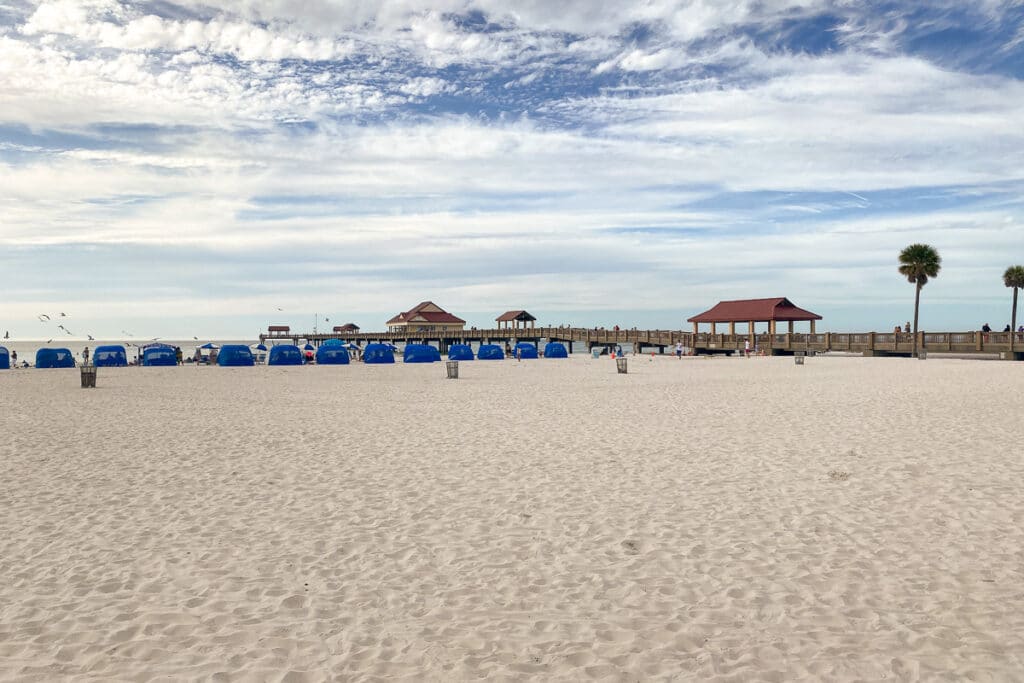 Things to Do in Clearwater Beach for Adults and Couples! Wandertooth