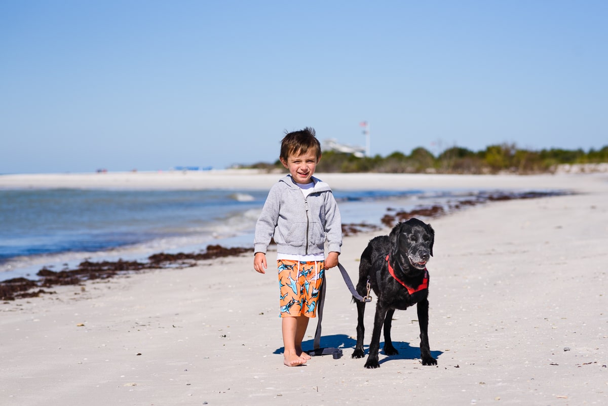 my son and our dog at honeymoon island state park